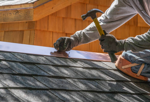 Best Roof Insulation Installation  in Little Walnut Village, NM