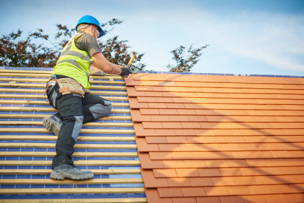 Best Roof Maintenance and Cleaning  in Little Walnut Village, NM